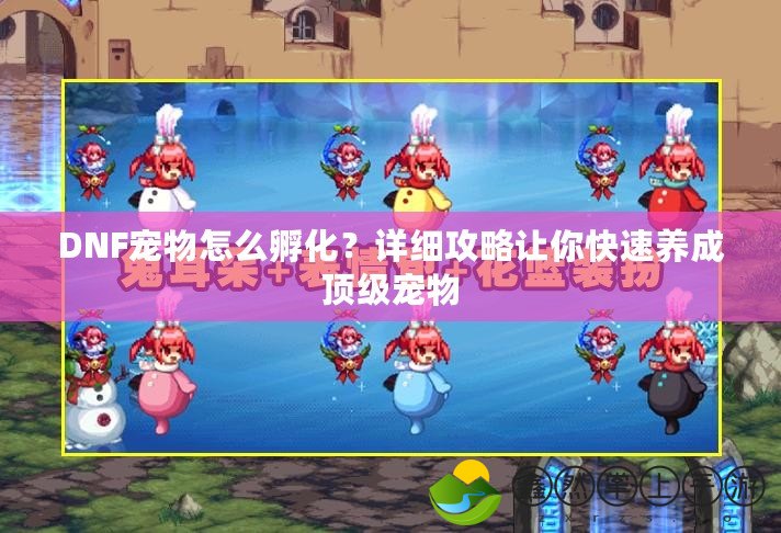 DNF寵物怎么孵化？詳細(xì)攻略讓你快速養(yǎng)成頂級(jí)寵物