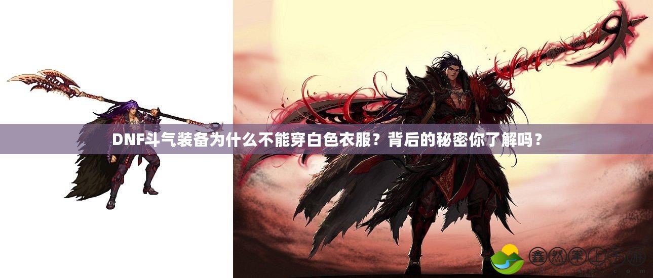 DNF斗氣裝備為什么不能穿白色衣服？背后的秘密你了解嗎？