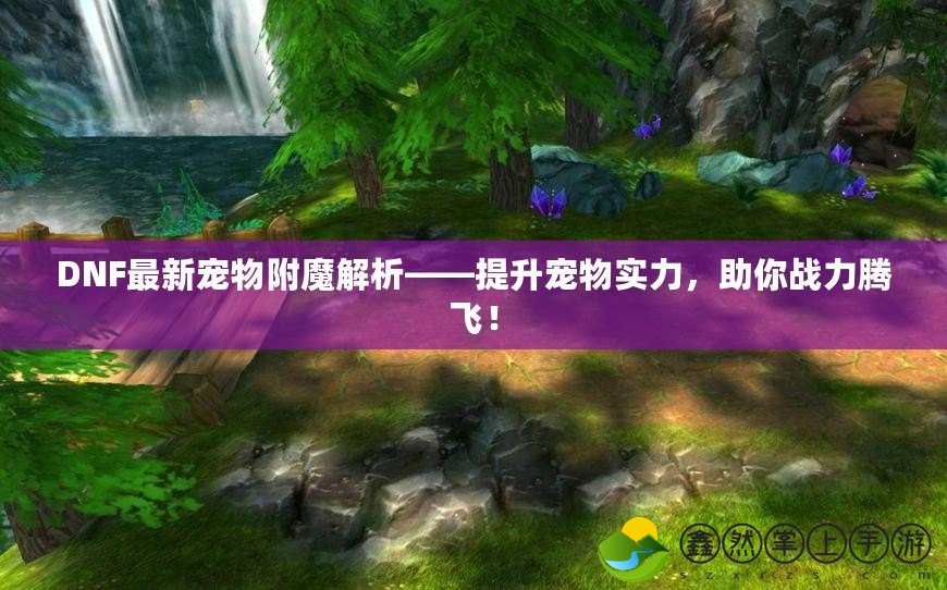 DNF最新寵物附魔解析——提升寵物實(shí)力，助你戰(zhàn)力騰飛！