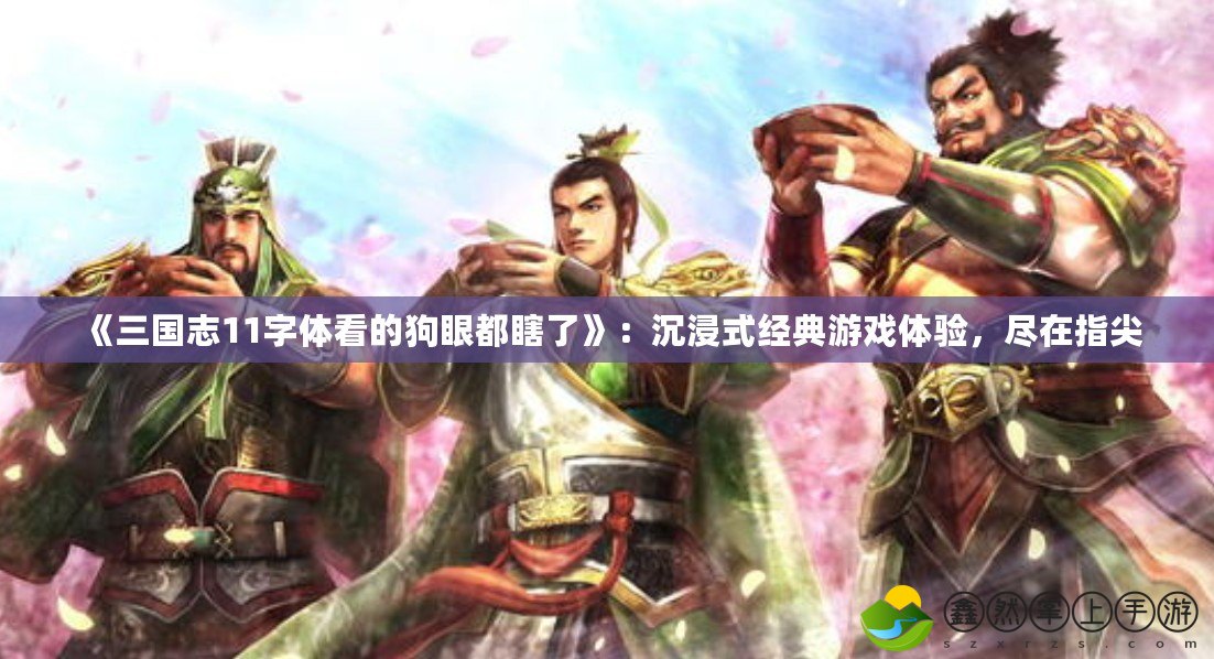 《三國志11字體看的狗眼都瞎了》：沉浸式經(jīng)典游戲體驗，盡在指尖