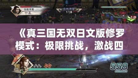 《真三國(guó)無(wú)雙日文版修羅模式：極限挑戰(zhàn)，激戰(zhàn)四方》