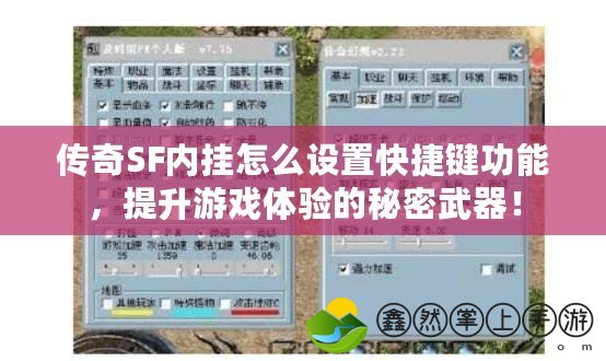 傳奇SF內(nèi)掛怎么設(shè)置快捷鍵功能，提升游戲體驗的秘密武器！