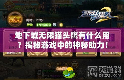 地下城無限貓頭鷹有什么用？揭秘游戲中的神秘助力！