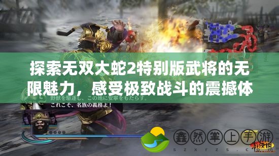 探索無雙大蛇2特別版武將的無限魅力，感受極致戰(zhàn)斗的震撼體驗(yàn)