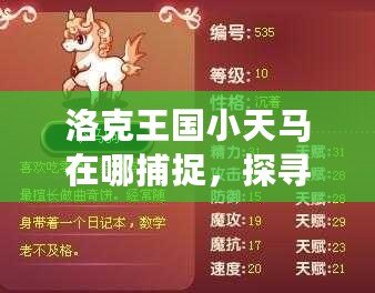 洛克王國小天馬在哪捕捉，探尋最神秘的寵物捕捉攻略！