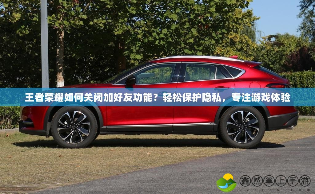 王者榮耀如何關(guān)閉加好友功能？輕松保護(hù)隱私，專注游戲體驗