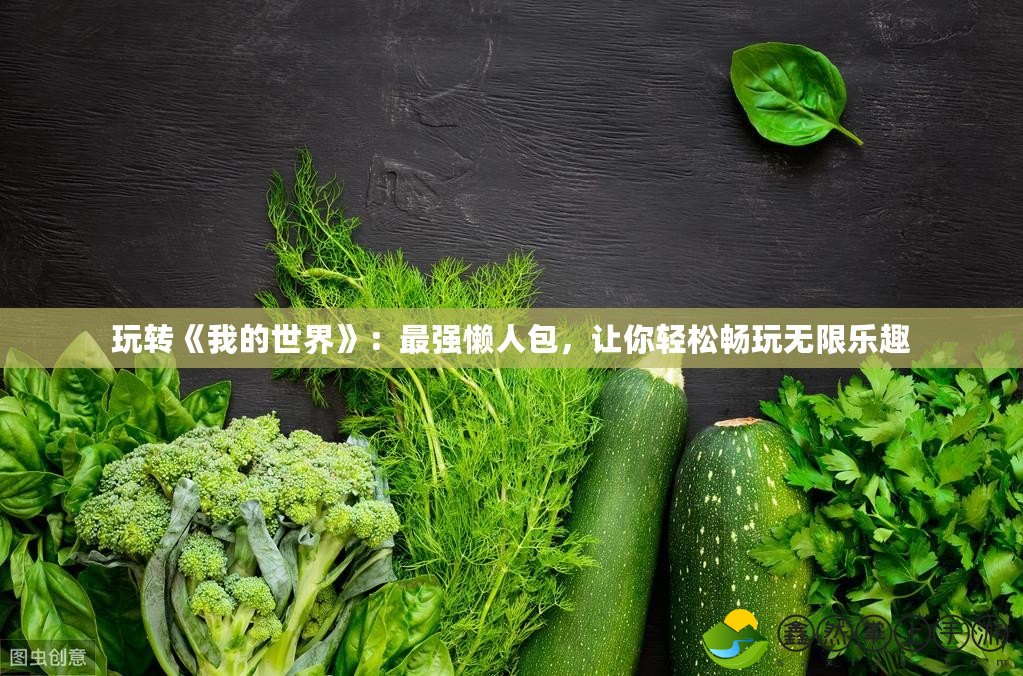玩轉《我的世界》：最強懶人包，讓你輕松暢玩無限樂趣