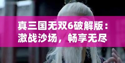 真三國(guó)無(wú)雙6破解版：激戰(zhàn)沙場(chǎng)，暢享無(wú)盡快感