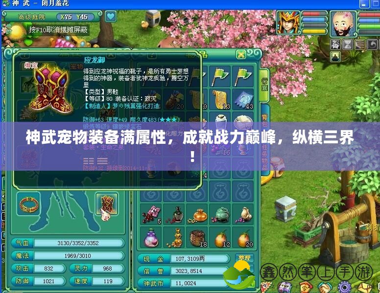 神武寵物裝備滿屬性，成就戰(zhàn)力巔峰，縱橫三界！