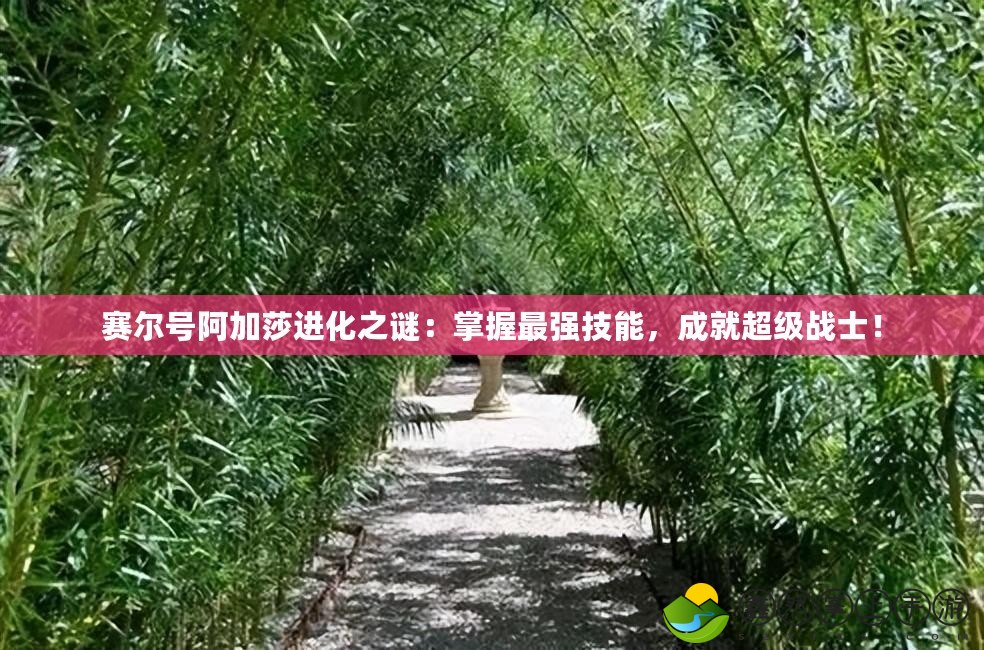 賽爾號阿加莎進化之謎：掌握最強技能，成就超級戰(zhàn)士！