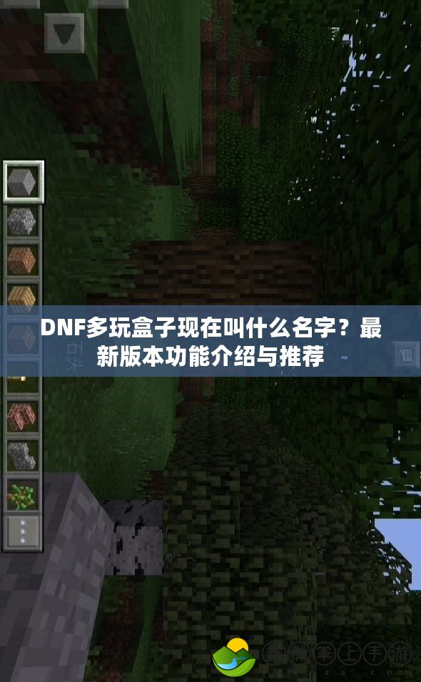 DNF多玩盒子現(xiàn)在叫什么名字？最新版本功能介紹與推薦