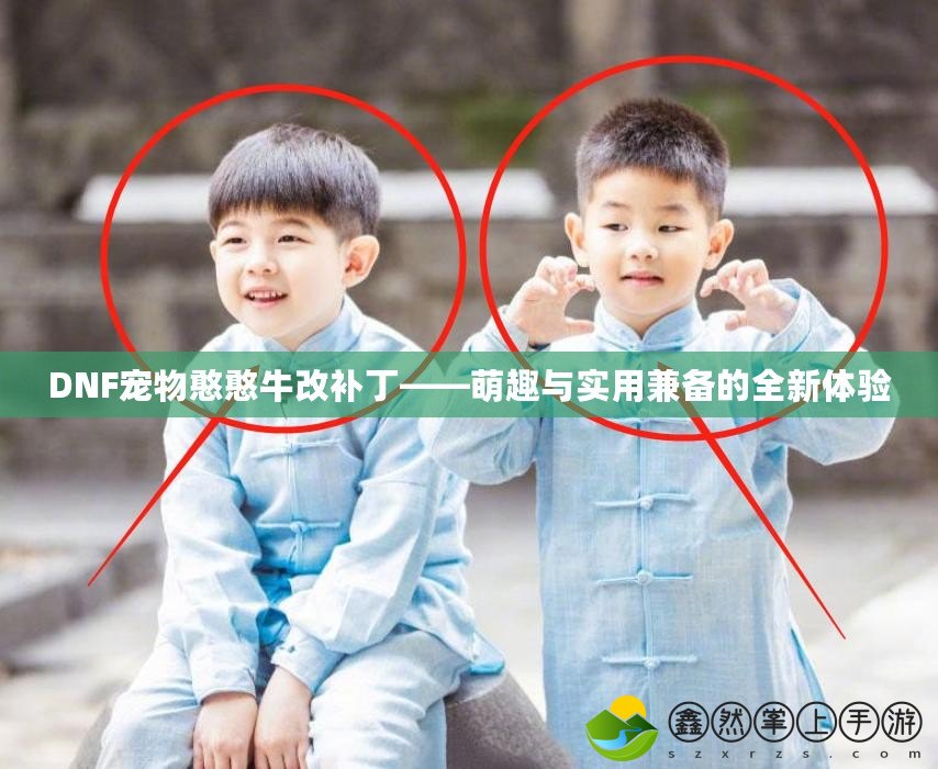 DNF寵物憨憨牛改補(bǔ)丁——萌趣與實(shí)用兼?zhèn)涞娜麦w驗(yàn)