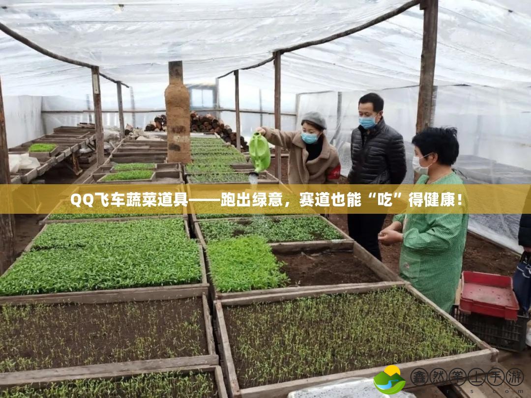 QQ飛車蔬菜道具——跑出綠意，賽道也能“吃”得健康！