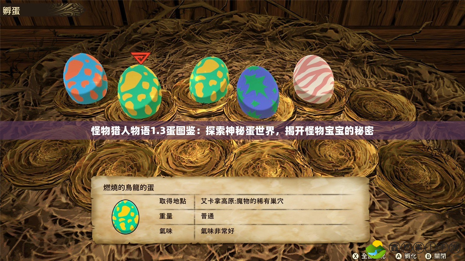 怪物獵人物語(yǔ)1.3蛋圖鑒：探索神秘蛋世界，揭開(kāi)怪物寶寶的秘密