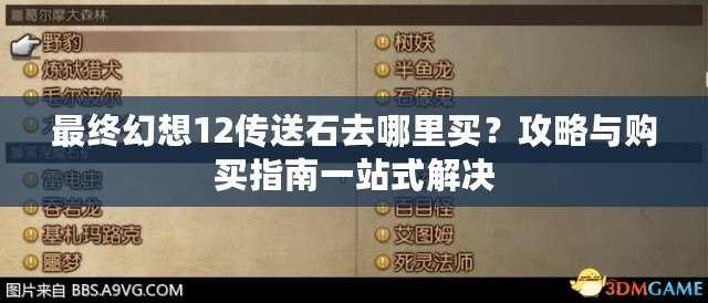 最終幻想12傳送石去哪里買？攻略與購買指南一站式解決
