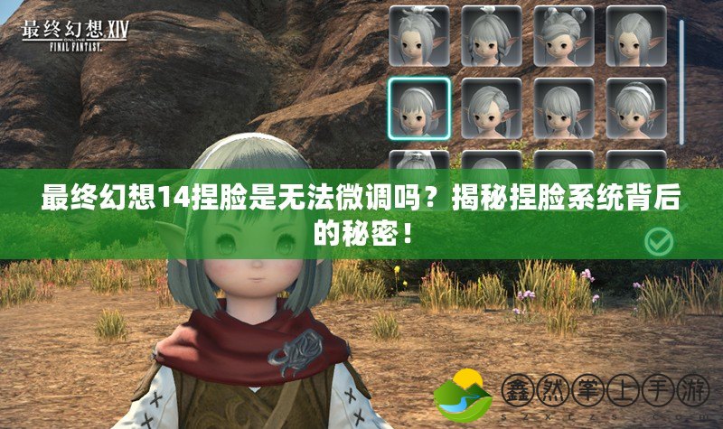 最終幻想14捏臉是無法微調(diào)嗎？揭秘捏臉系統(tǒng)背后的秘密！