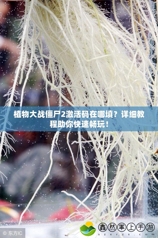 植物大戰(zhàn)僵尸2激活碼在哪填？詳細(xì)教程助你快速暢玩！