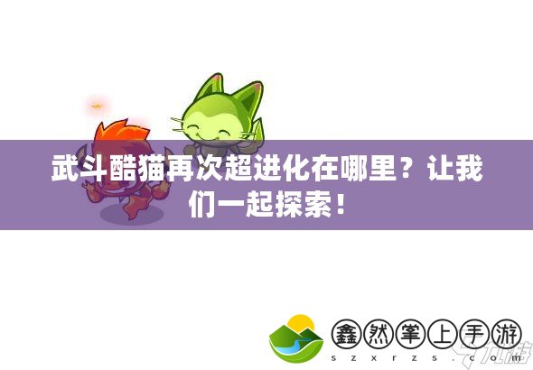 武斗酷貓再次超進化在哪里？讓我們一起探索！