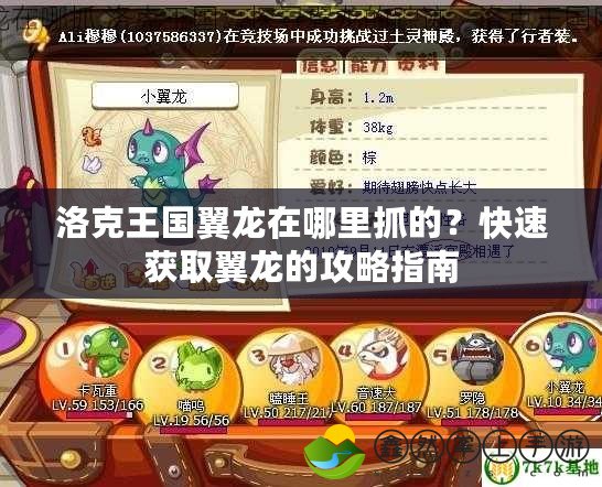 PSP游戲王ARC-V卡片力量SP解鎖——激活你的決斗潛力，開啟全新戰(zhàn)斗體驗