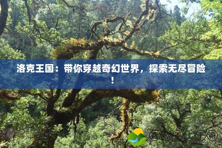 洛克王國：帶你穿越奇幻世界，探索無盡冒險！