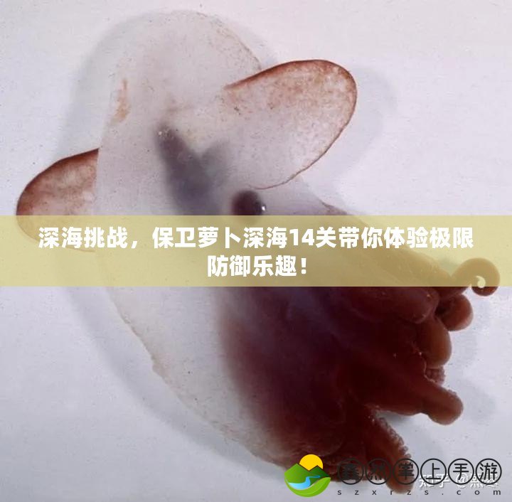 深海挑戰(zhàn)，保衛(wèi)蘿卜深海14關(guān)帶你體驗(yàn)極限防御樂趣！