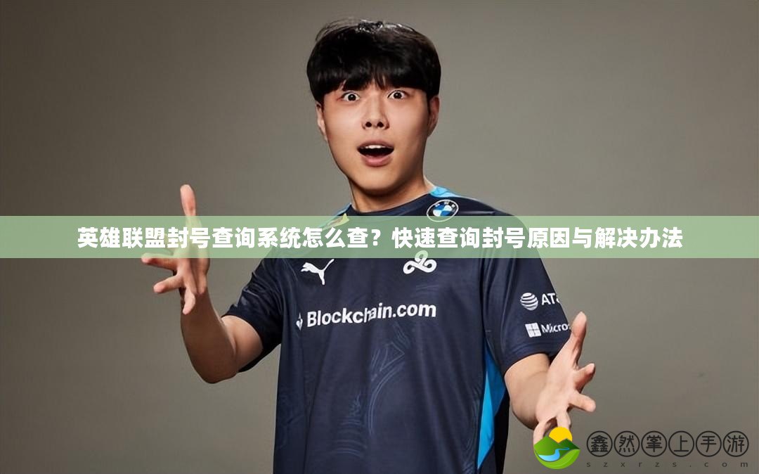 英雄聯(lián)盟封號查詢系統(tǒng)怎么查？快速查詢封號原因與解決辦法