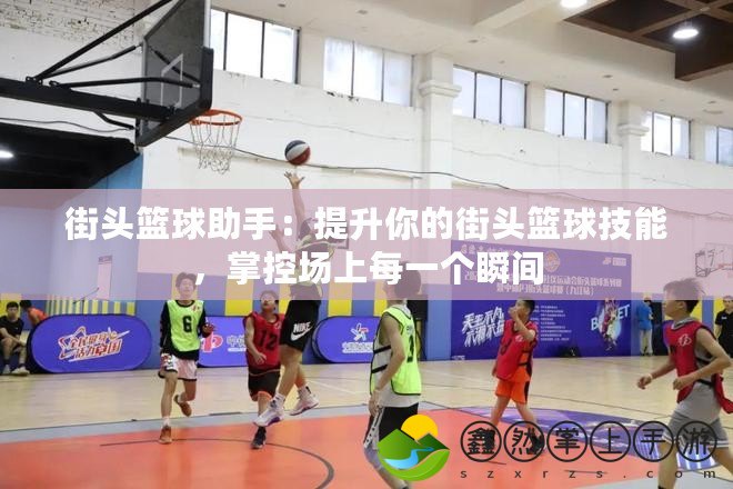 街頭籃球助手：提升你的街頭籃球技能，掌控場(chǎng)上每一個(gè)瞬間