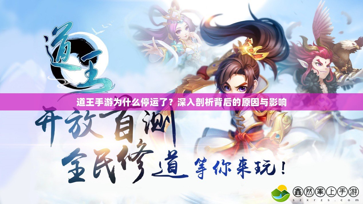 道王手游為什么停運(yùn)了？深入剖析背后的原因與影響
