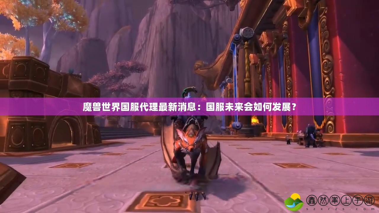 魔獸世界國(guó)服代理最新消息：國(guó)服未來會(huì)如何發(fā)展？