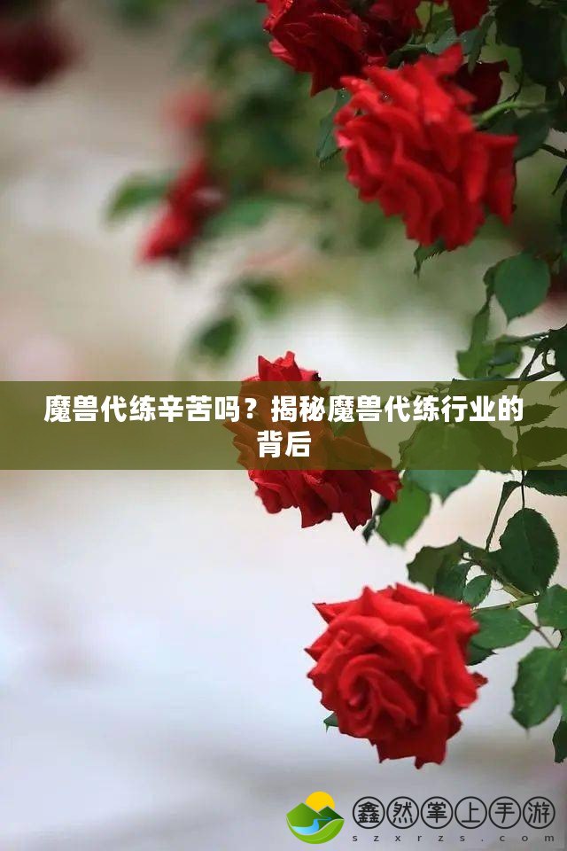 魔獸代練辛苦嗎？揭秘魔獸代練行業(yè)的背后