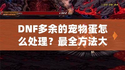 DNF多余的寵物蛋怎么處理？最全方法大揭秘！