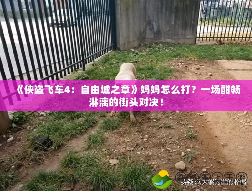 《俠盜飛車4：自由城之章》媽媽怎么打？一場酣暢淋漓的街頭對決！