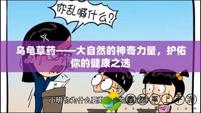 烏龜草藥——大自然的神奇力量，護(hù)佑你的健康之選