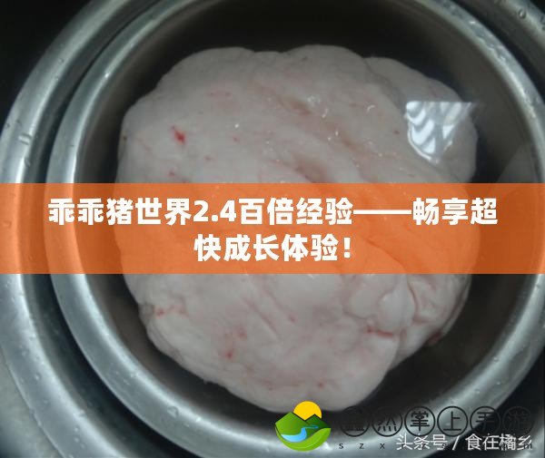 乖乖豬世界2.4百倍經(jīng)驗——暢享超快成長體驗！