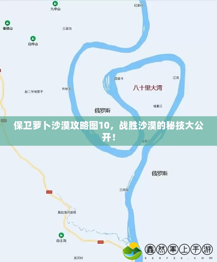 保衛(wèi)蘿卜沙漠攻略圖10，戰(zhàn)勝沙漠的秘技大公開(kāi)！