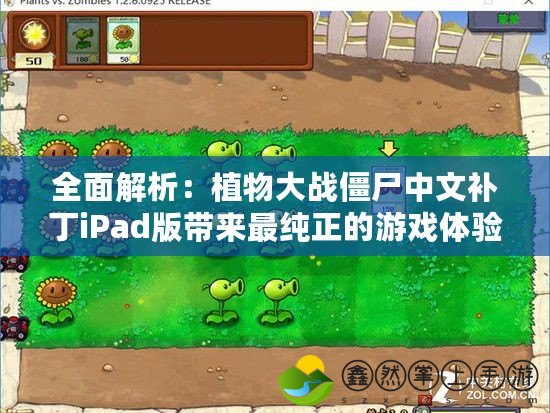 全面解析：植物大戰(zhàn)僵尸中文補(bǔ)丁iPad版帶來最純正的游戲體驗(yàn)！