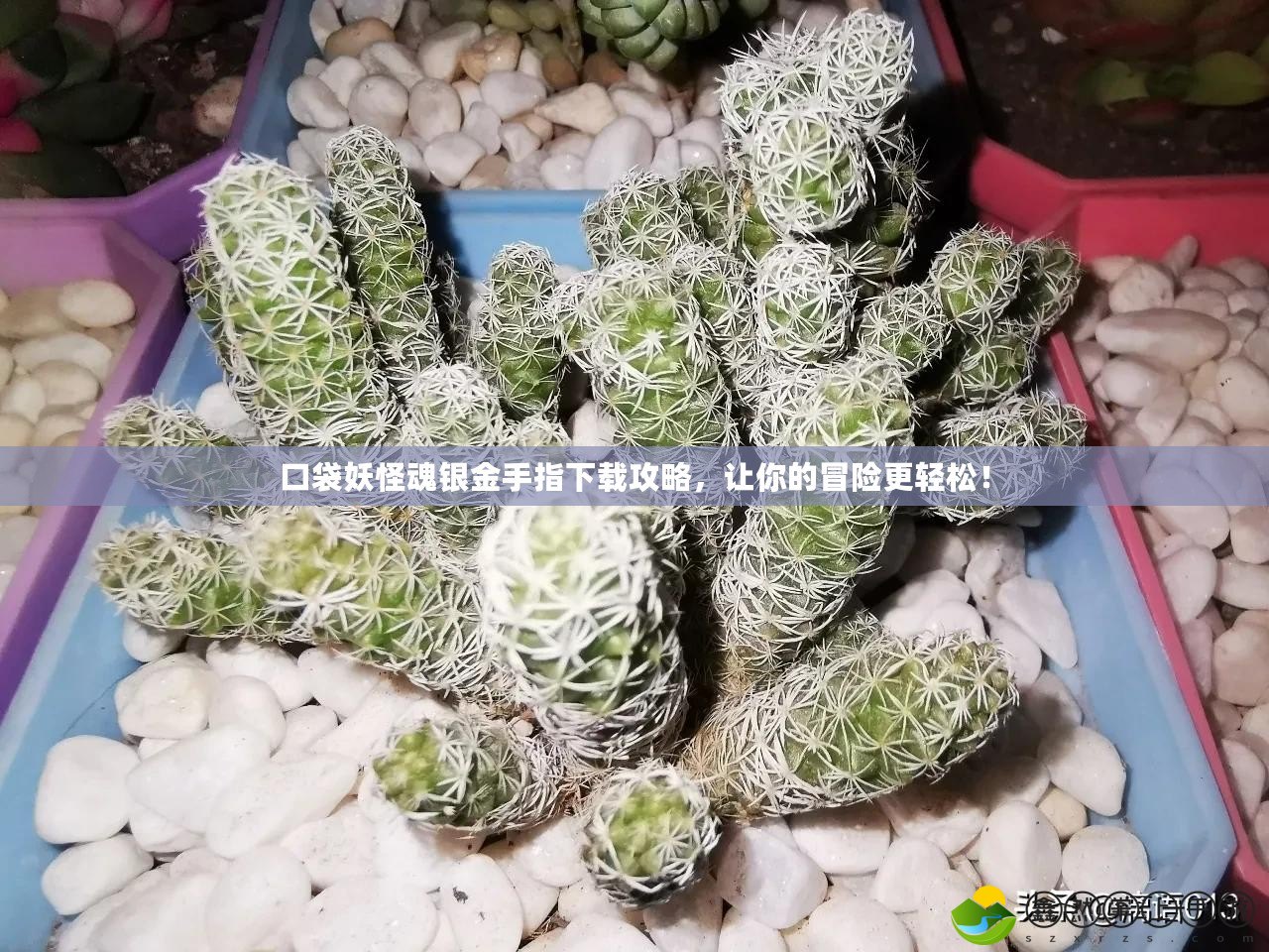 口袋妖怪魂銀金手指下載攻略，讓你的冒險更輕松！