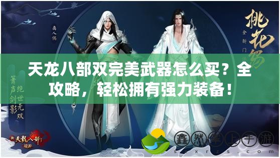 天龍八部雙完美武器怎么買？全攻略，輕松擁有強(qiáng)力裝備！