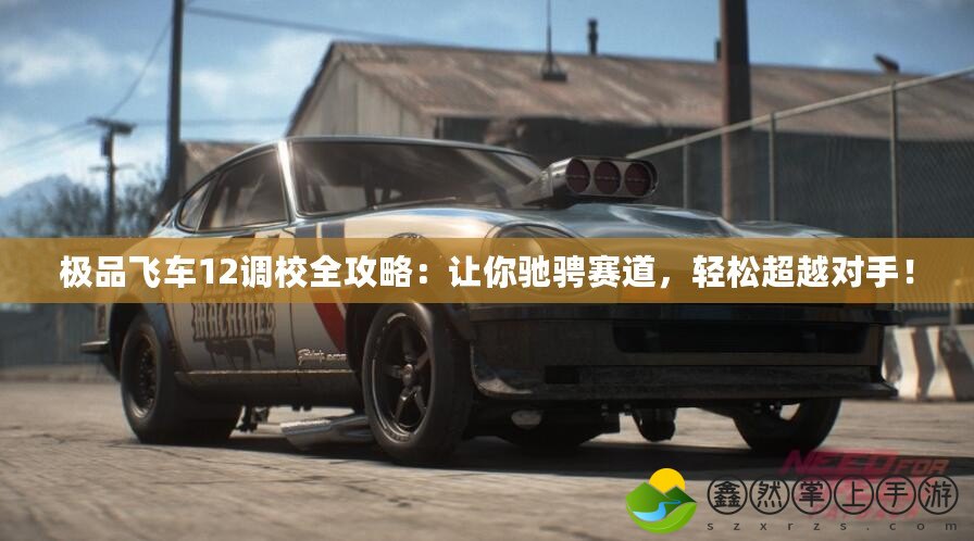 極品飛車12調(diào)校全攻略：讓你馳騁賽道，輕松超越對手！