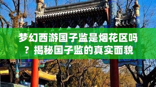 夢幻西游國子監(jiān)是煙花區(qū)嗎？揭秘國子監(jiān)的真實面貌
