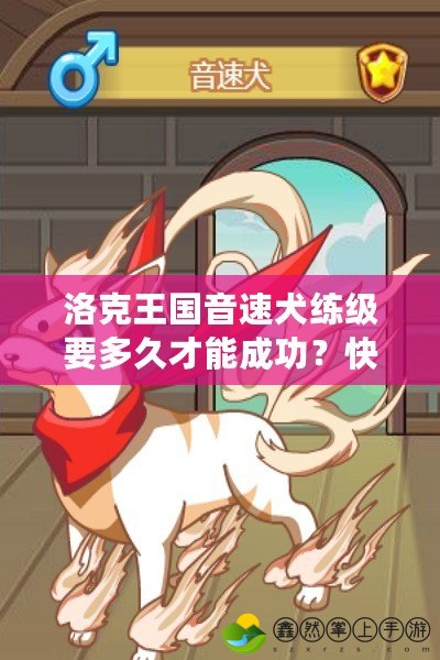 洛克王國(guó)音速犬練級(jí)要多久才能成功？快速提升技巧大揭秘！