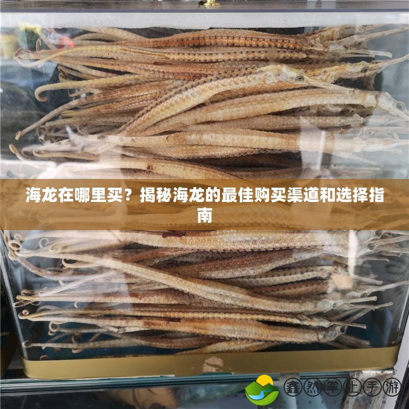 海龍?jiān)谀睦镔I？揭秘海龍的最佳購買渠道和選擇指南