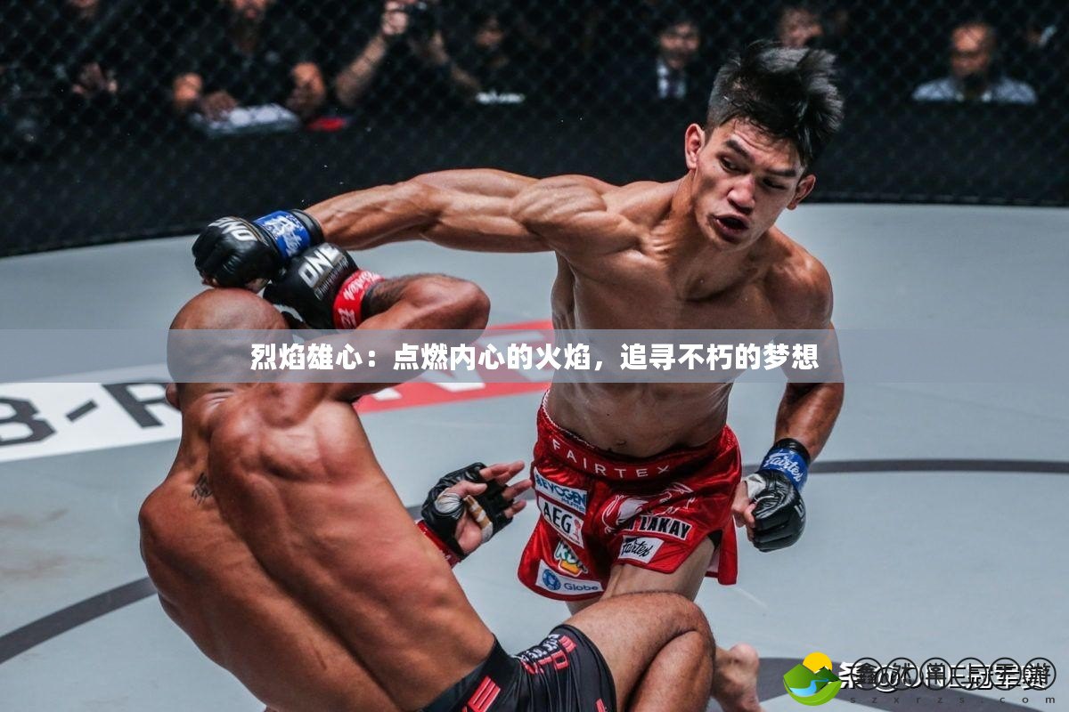 烈焰雄心：點燃內(nèi)心的火焰，追尋不朽的夢想