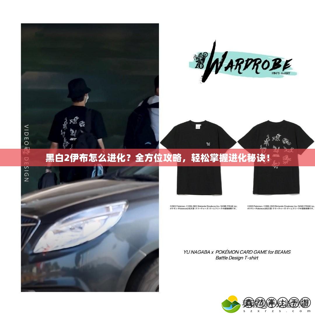 黑白2伊布怎么進化？全方位攻略，輕松掌握進化秘訣！