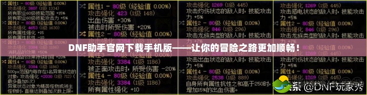 DNF助手官網(wǎng)下載手機(jī)版——讓你的冒險(xiǎn)之路更加順暢！