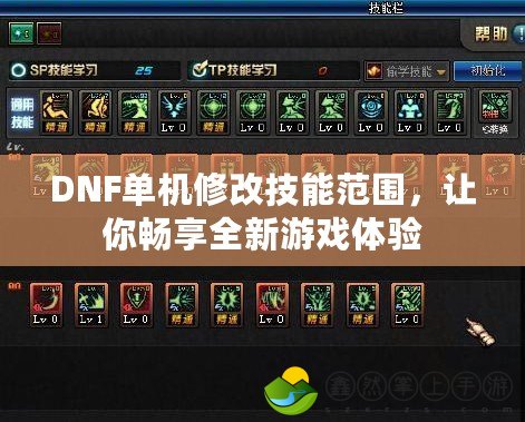 DNF單機(jī)修改技能范圍，讓你暢享全新游戲體驗(yàn)