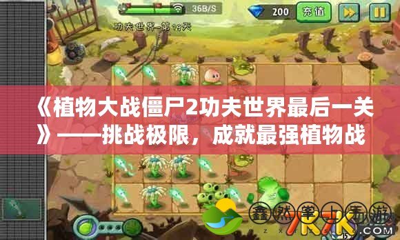 《植物大戰(zhàn)僵尸2功夫世界最后一關》——挑戰(zhàn)極限，成就最強植物戰(zhàn)士！
