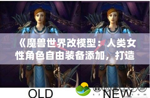 《魔獸世界改模型：人類女性角色自由裝備添加，打造專屬于你的英雄》