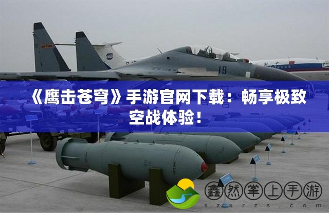 《鷹擊蒼穹》手游官網(wǎng)下載：暢享極致空戰(zhàn)體驗(yàn)！
