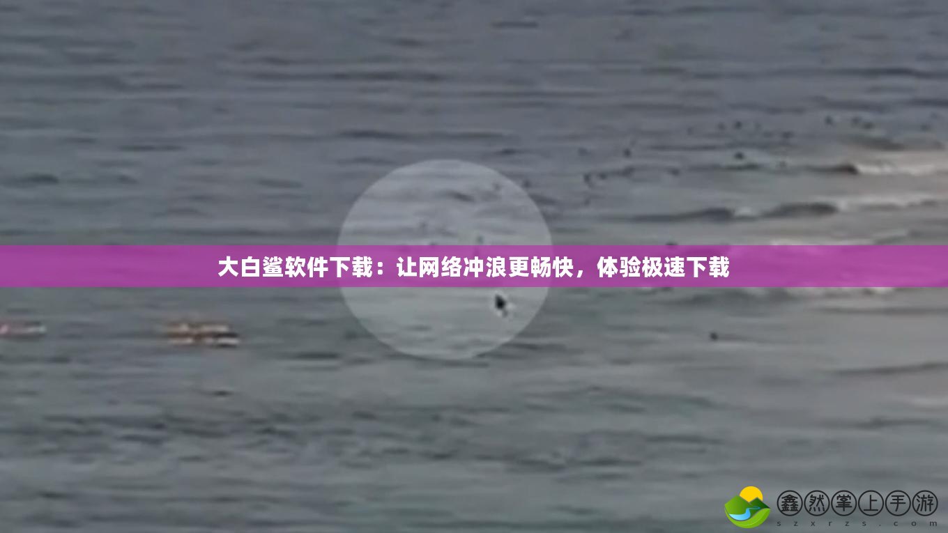 大白鯊軟件下載：讓網(wǎng)絡(luò)沖浪更暢快，體驗(yàn)極速下載